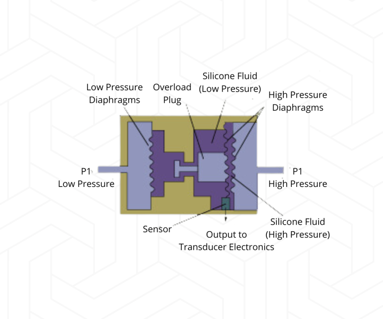 Struktur Strain Gauge Transmitter