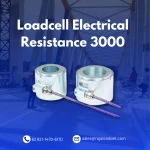 3000