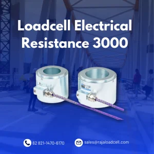 3000