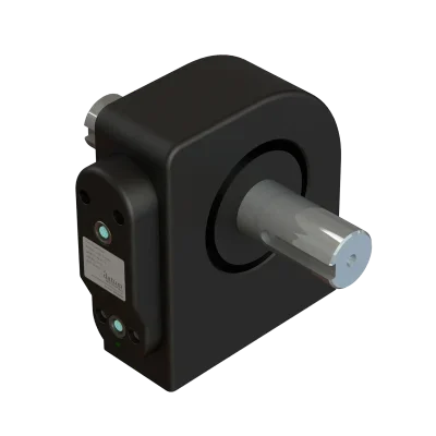 Sensor Torsi
